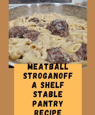Meatball Stroganoff – Shelf Stable Panty Meal