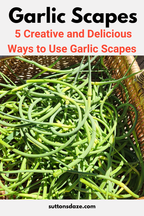5 Creative and Delicious Ways to Use Garlic Scapes in Your Kitchen